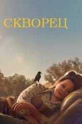 Постер к Скворец (2021)