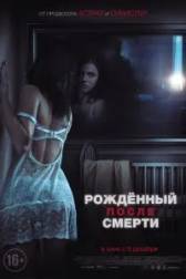 Постер к Рожденный после смерти (2019)