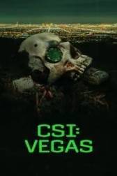 Постер к CSI: Вегас (1-2 сезон)